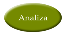 analiza